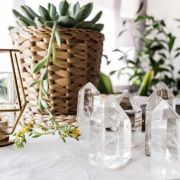Image avec une plante verte et du cristal de roche